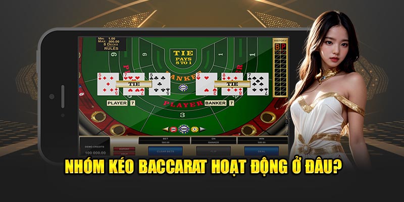 Nhóm kéo baccarat hoạt động ở hình thức nào?